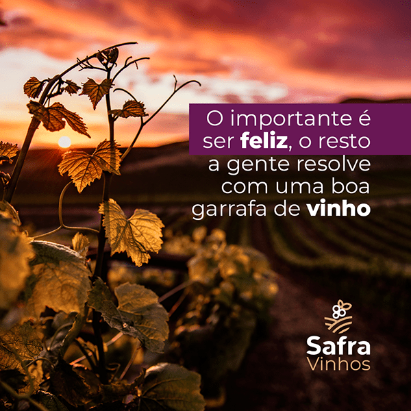 Safra Vinhos — apresentação da identidade visual (18)