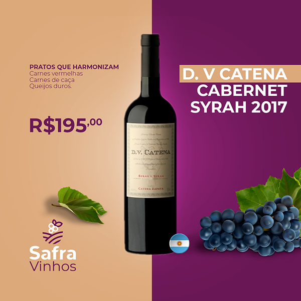 Safra Vinhos — apresentação da identidade visual (22)