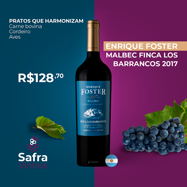 Safra Vinhos — apresentação da identidade visual (27)